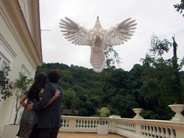 herculano-voa-passaro-astro